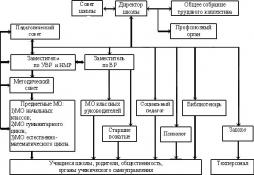Структура управления образовательной организацией 